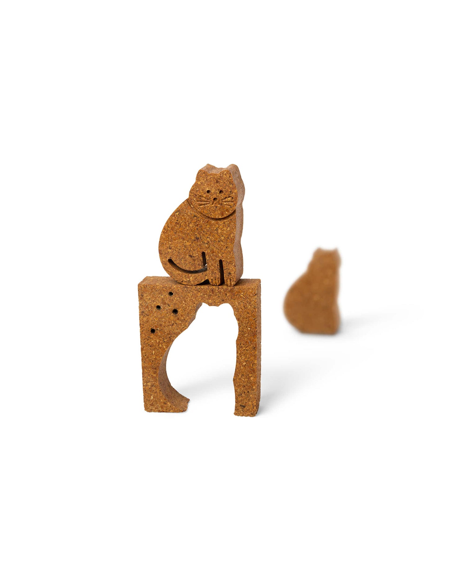The cat is...