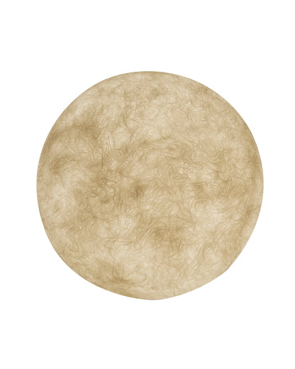 A.moon